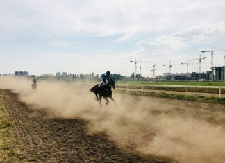 a group of people riding on the backs of horses